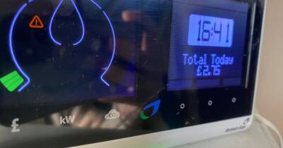 I worked from home all day and this is how much our British Gas smart meter charged me