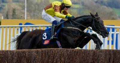 Dan Skelton - Charlie Appleby - Ryan Moore - Horse racing tips and best bets for Cheltenham, Newmarket, Beverley and Kempton - dailyrecord.co.uk - Panama -  Kingston