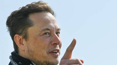 La decisión de Elon Musk con Twitter