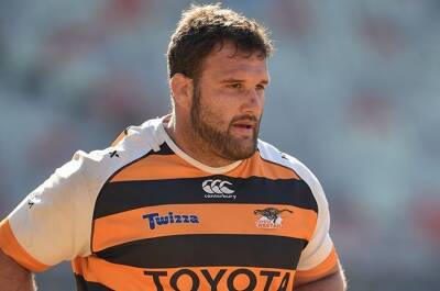 Clayton Blommetjies - Currie Cup - Namibian prop to bring up century for Cheetahs in WP clash - news24.com - France - Namibia - South Africa -  Cape Town -  Durban - province Western