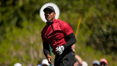 Tiger to play in Irish pro-am before The Open - tsn.ca - Ireland