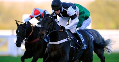 Garry Owen - William Haggas - Horse racing tips and best bets for Newcastle, Lingfield and Chelmsford - dailyrecord.co.uk - Britain -  Punchestown