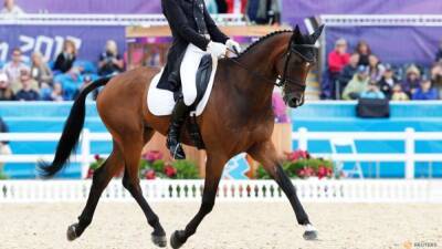 Horse racing-Olympic equestrian champion Todd free to resume training after ban for striking horse