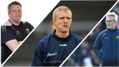Henry Shefflin - First flush - eyes on the prize for hurling's new managers - rte.ie - Ireland - county Wexford