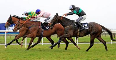 Easter Sunday - McLoughlin and Donoghue deliver Fairyhouse double - breakingnews.ie -  Punchestown