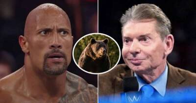 'The Brahma Bull’ versus The Bear' - Vince McMahon wanted The Rock to wrestle a bear