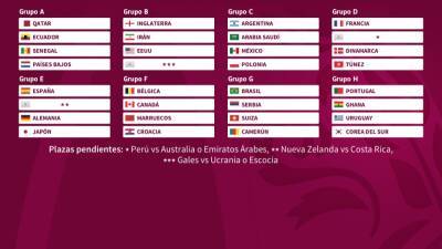 Fernando Torres - Mundial de Qatar 2022: partidos, fechas, horarios y calendario de la fase de grupos - en.as.com - Qatar - Costa Rica