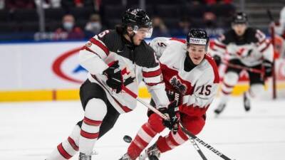 Nova Scotia, New Brunswick working on bid for 2023 world junior men's hockey championships