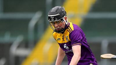 Wexford secure Leinster U20 semi-final spot after hard-fought victory over Laois
