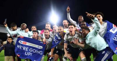 Marco Silva - Fulham are back up, and now the attempt to defy gravity begins again - msn.com