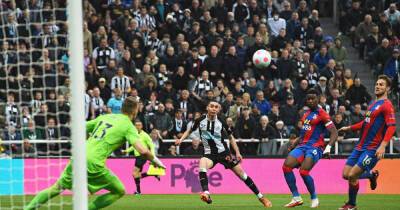 Miguel Almirón’s winner against Palace puts safety in sight for Newcastle