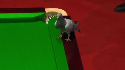 Pigeon ruffles feathers at World Snooker championships in Sheffield