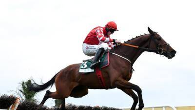 Punchestown Festival: Might Potter upsets the odds Champion Novice Hurdle