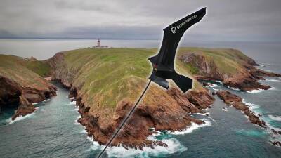 How Scarybirds are flying to the rescue of endangered species - euronews.com - Portugal