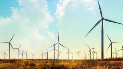 Climate Now Debate: How do we boost Europe's wind sector and meet EU climate goals? - euronews.com - Russia - Ukraine - Eu