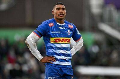 Damian Willemse - John Dobson - Damian Willemse is Springboks' future No 12-elect with tweaks, says former stalwart - news24.com - France - Georgia