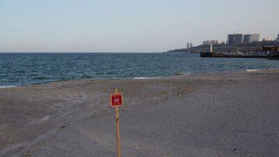 Guerra Ucrania - Rusia, última hora | Rusia despliega delfines en el Mar Negro