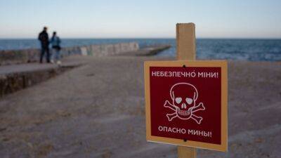 Guerra Ucrania - Rusia, última hora | Rusia despliega delfines en el Mar Negro