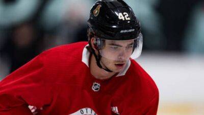 Ice Chips: Sens recall F Lodin, re-assign Sabourin to AHL