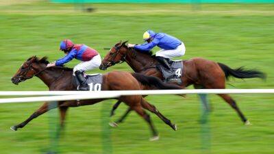 Christophe Soumillon - 1000 Guineas attracts 14 runners - rte.ie - Britain - France - Guinea
