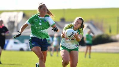 McEvoy inspires Offaly to Division 4 glory - rte.ie - county Park