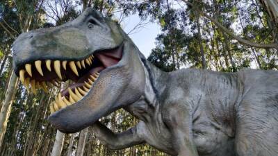 Un experto explica por qué el T-Rex tenía los brazos tan cortos