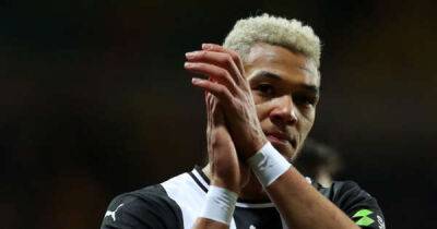 Eddie Howe - Frank Macavennie - Paddy Kenny - Paddy Kenny hails ‘amazing’ Joelinton for his versatility - msn.com - Brazil -  Norwich -  Newcastle