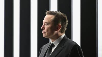 Vladimir Putin - Elon Musk - Elon Musk invierte en Twitter y las acciones se revalorizan un 25% - en.as.com