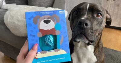 I got my dogs a pet-friendly Easter Egg so they don't miss out on all the fun - manchestereveningnews.co.uk