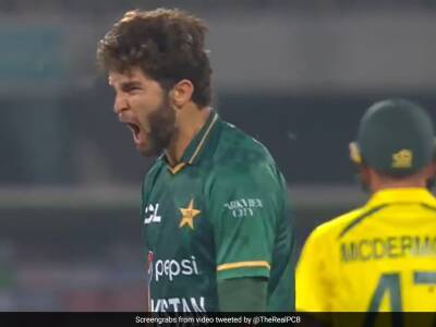 Watch: Shaheen Afridi's Fiery Celebration After Bagging Two Wickets In An Over