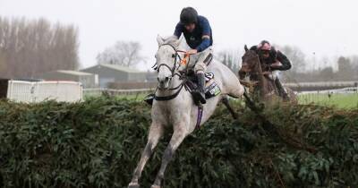 Gordon Elliott - Snow Leopardess gamble continues as fans back grey to make Grand National history - dailyrecord.co.uk - Britain - Jordan