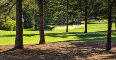 Rory Macilroy - Tiger Woods - Augusta National - Greg Norman - 'New 11th hole' is big change on this occasion at Augusta National - msn.com - Washington - Japan - county Norman - county Woods