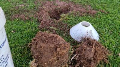 Police charge suspected metal detectorist over mystery holes in Adelaide Hills ovals - abc.net.au