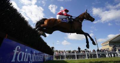 Grand National 2022 runners and riders - full list of horses racing this year