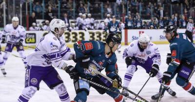 Belfast Giants facing massive week - msn.com -  Sheffield