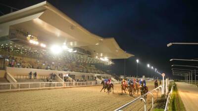 Aidan Obrien - Ryan Moore - Blackbeard impresses on debut in Dundalk - rte.ie - Ireland - county Moore