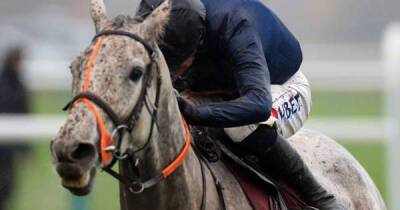 Snow Leopardess leads field for 2022 Grand National