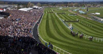How many horses have died at the Grand National? - msn.com - Britain
