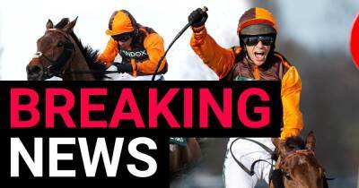 Rachael Blackmore - Noble Yeats - Grand National: Noble Yeats produces 50-1 shock as amateur jockey wins in his final race - metro.co.uk