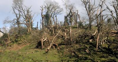 Tornado hits North Wales as lambs 'lifted into the air' and roof ripped off house - manchestereveningnews.co.uk - Britain
