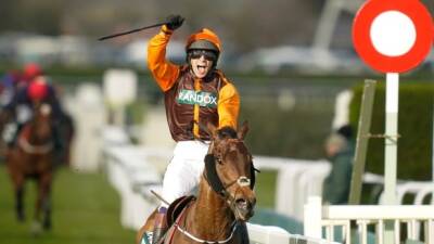 Noble Yeats - Amateur jockey Waley-Cohen wins Grand National in retirement race - cbc.ca
