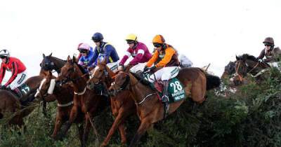 Noble Yeats - Were any horses hurt in the 2022 Grand National? Injury latest after Aintree race - msn.com