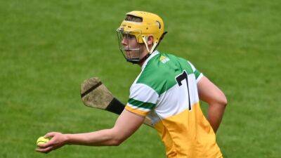 Offaly dig deep to see off Down challenge