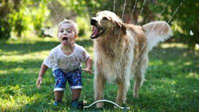 Reino Unido - Posible vínculo de los perros con la hepatitis desconocida - en.as.com - Indonesia