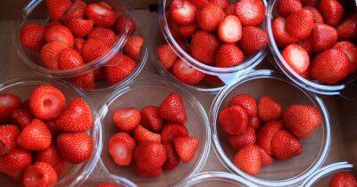 Bright weather means strawberries grown in the UK will taste sweeter this summer
