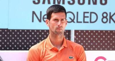 Carlos Alcaraz - Roland Garros - Marian Vajda - Novak Djokovic called out for error that has left him 'no longer mentally stable' - msn.com - France - Serbia - Madrid