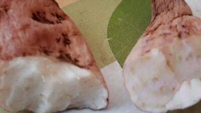 Muere por ingerir el tubérculo nabo del diablo en Galicia: porqué es letal y dónde crece - en.as.com - Colombia - state Louisiana