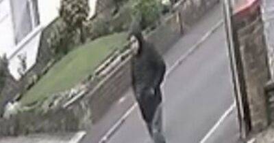 Police want to speak to this man after woman hit by her own car during robbery