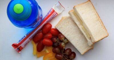 School workshops being organised to inform parents how to make packed lunches 'less unhealthy' - manchestereveningnews.co.uk -  Sandwich