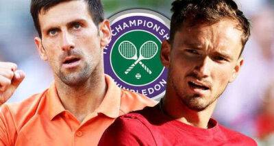 Novak Djokovic should be barred as Wimbledon chiefs told they're wrong over Russian ban
